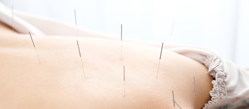 メニュー・料金をみる